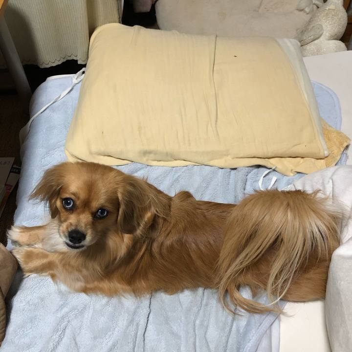 9f086bb9 975d 4fd1 806b 6a6d2eb8ba98 1548978494191