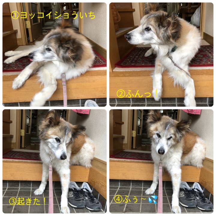 9f087cac bd55 43bc 8ad3 c20b579c92c0 1532479799810