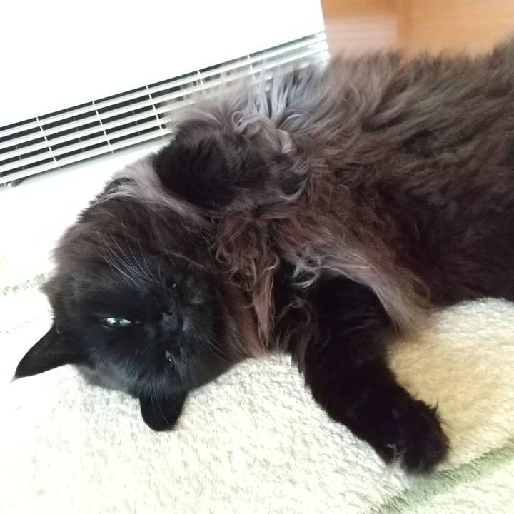 9f08d23e 109c 4ff6 b2b1 66fa08d0d7a2 1643928858121