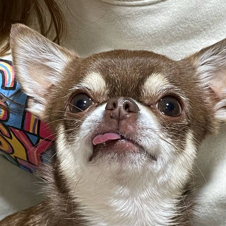 9f08db69 06f0 4251 855b 586a2723fa7b 1674167463930