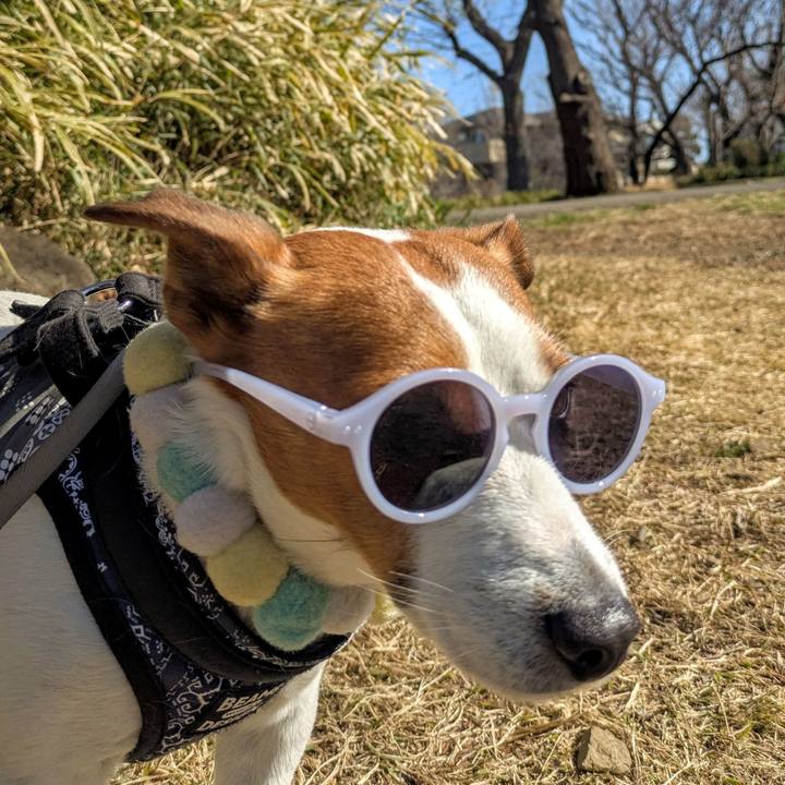 9f08eaaa 0abf 4128 aa00 fadb89df05aa 1772785462774