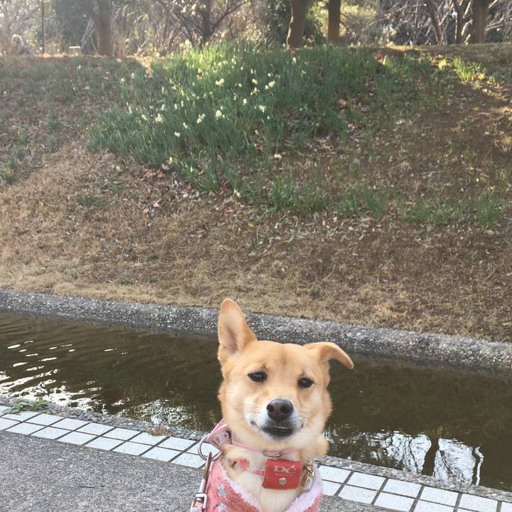 9f08f549 2d34 4a9a 9b63 57683213301d 1516526997093