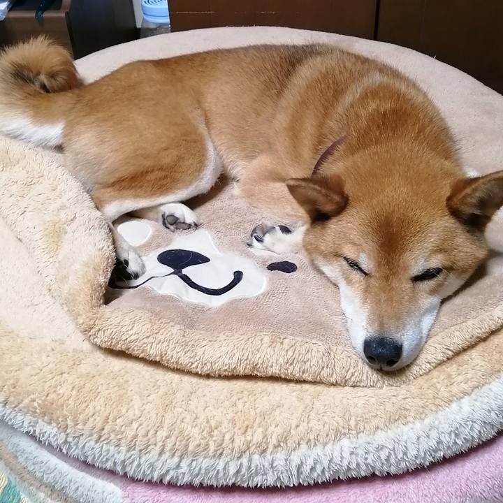 9f090fba c402 457a 8bc6 77c0c07acdc8 1595247006864