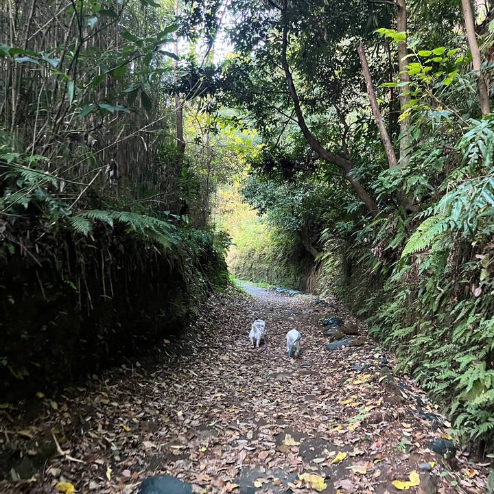 9f092a73 46e0 4193 b9c0 02927d9936ce 1763961222149