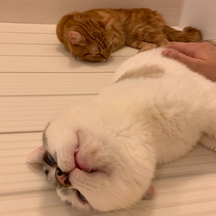 9f094335 602f 4035 96b4 ee9c3527efa8 1558688810192