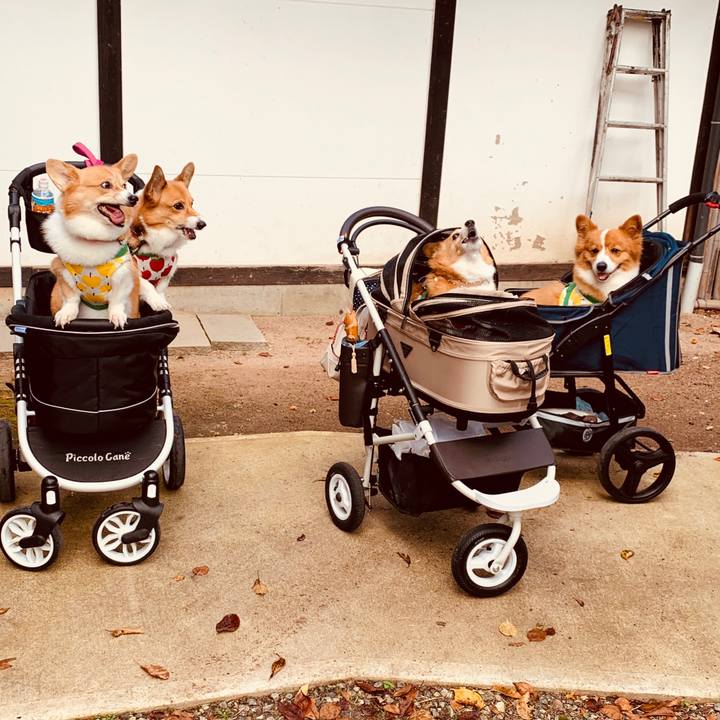 9f0968a3 632c 4f70 8b9e 1a2ce656d4b5 1568974334803