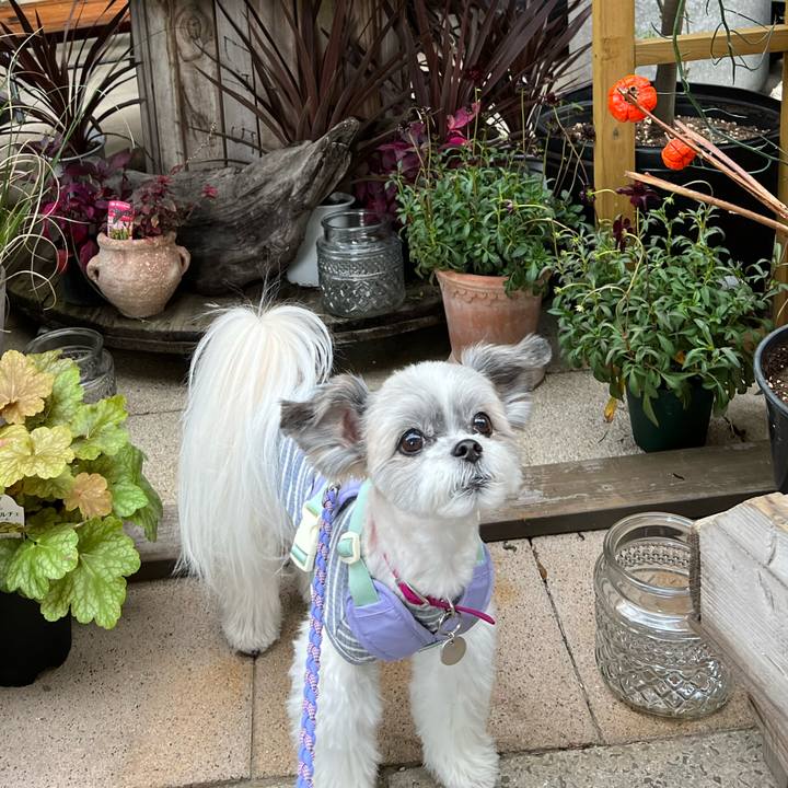 9f097675 976c 4ae5 bfc6 d57db7543702 1697960756409