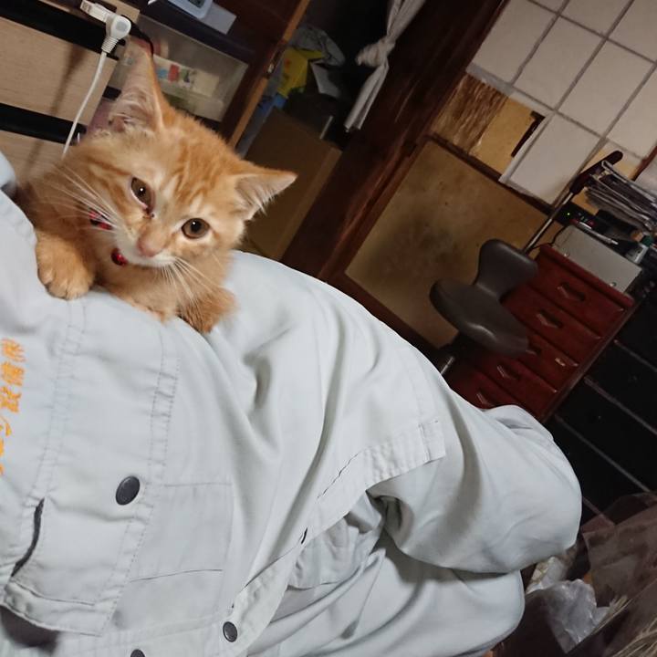 9f099159 c9e2 4c16 a49b 08679c3343f9 1629282636931