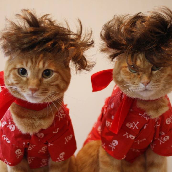 9f09be04 bd86 46d2 8155 28158afa57fe 1609476908201