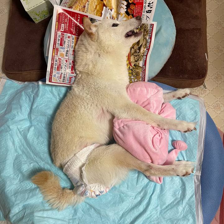 9f09ca97 6ecf 4f74 9fbb da1c411fbc71 1665887313648