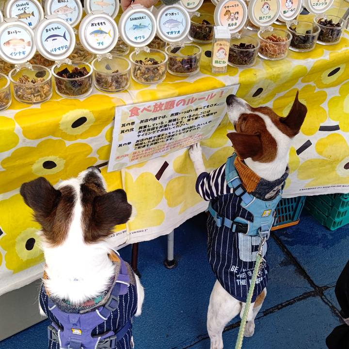 9f0a15ae 125a 406d b3a4 6f913aa9a653 1644651767597