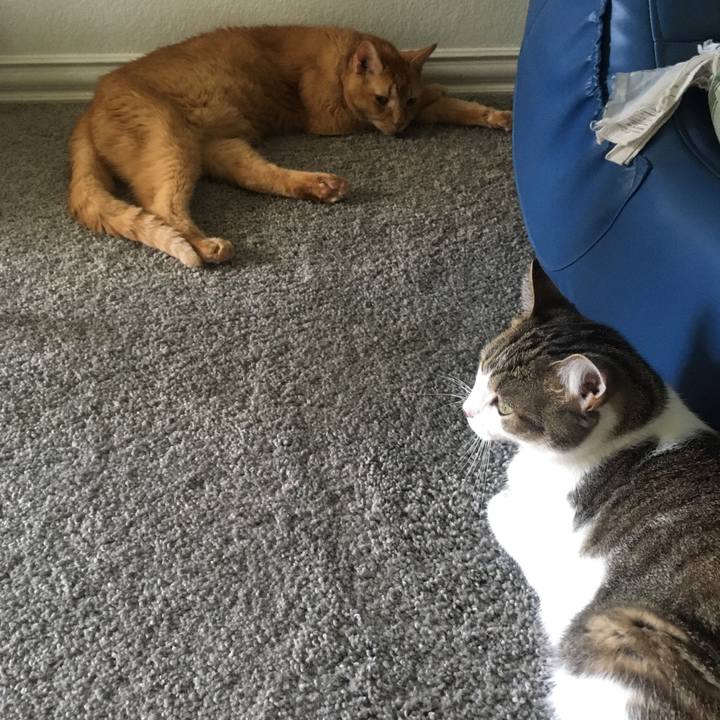 9f0b0179 de14 4c5f 9741 5e97b5ce388e 1662770257252