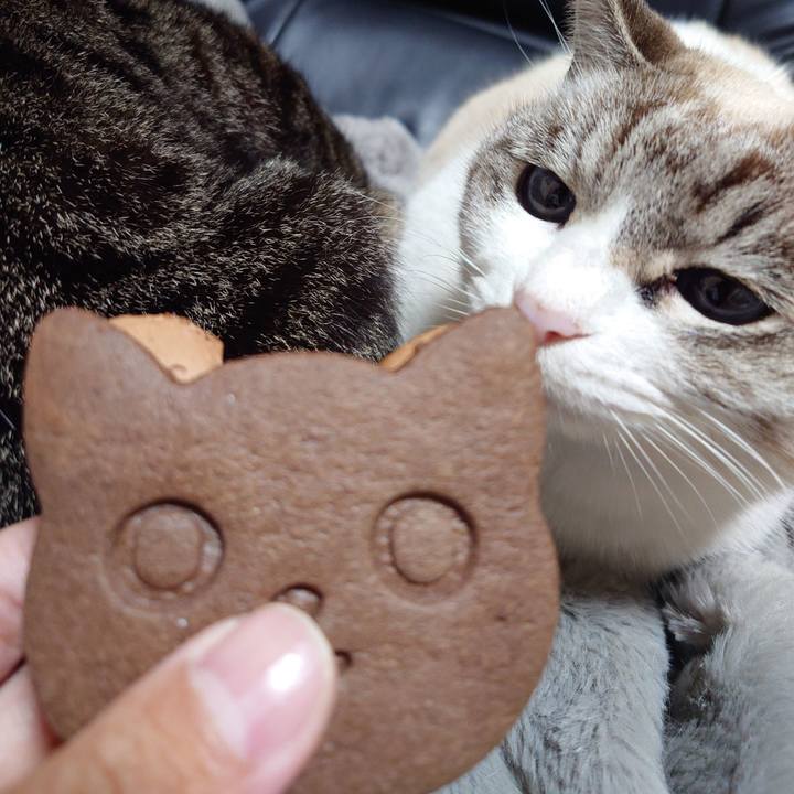 9f0b3903 4628 4787 ab83 3db6abb991f8 1739874007028