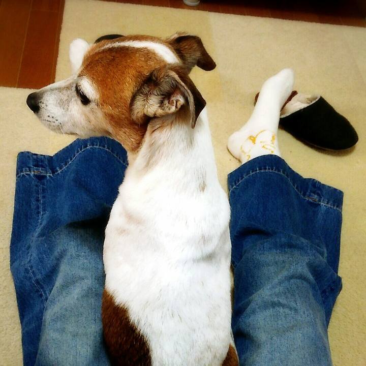 9f0b51cf dea2 4330 bc98 5ab6cb0a3c7e 1518935089719