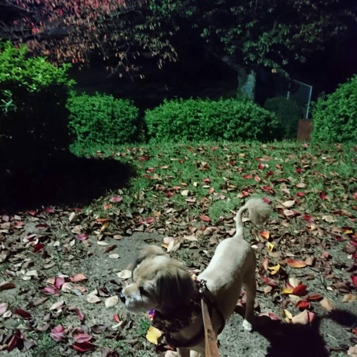 9f0b5d5e a505 4d50 be33 25a83602e6a8 1541756803497