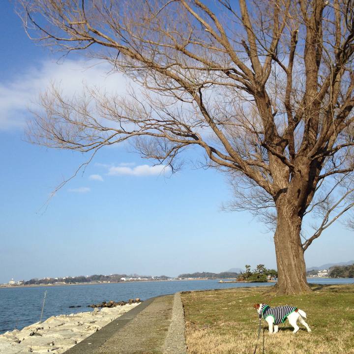 9f0b6948 7bfb 4bd2 8345 e2ea7e89553d 1520306114248