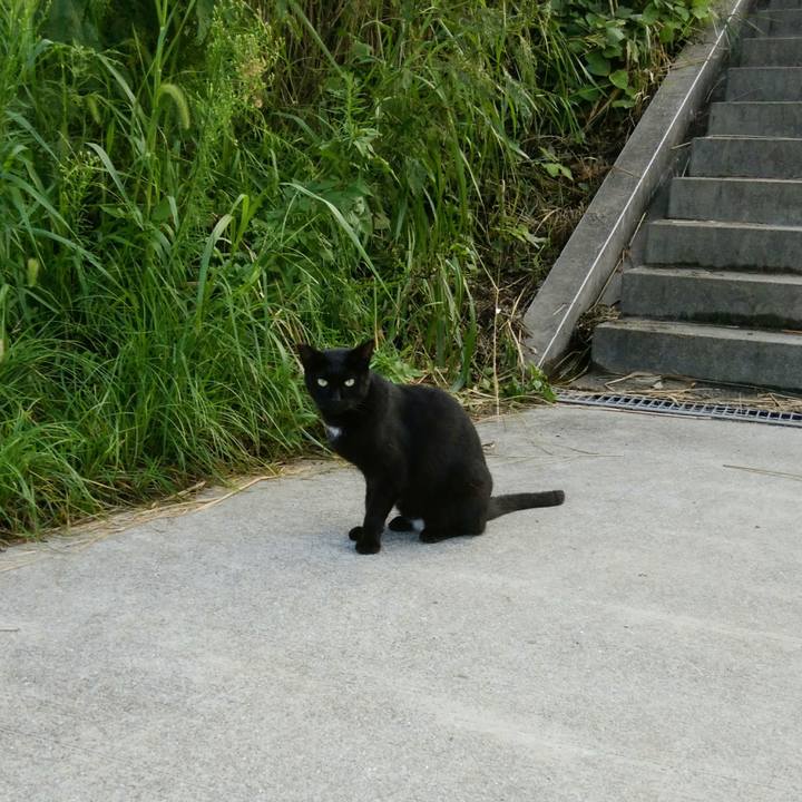 9f0b6e59 7a7c 4901 bbed bd969701d032 1536397663192