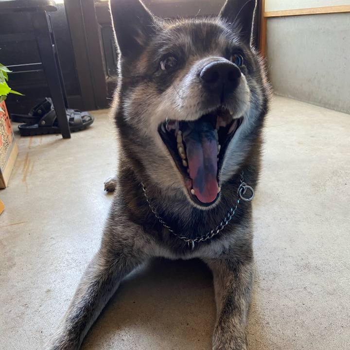 9f0bbb13 e53b 41bc bf45 822ef126483d 1684571911380