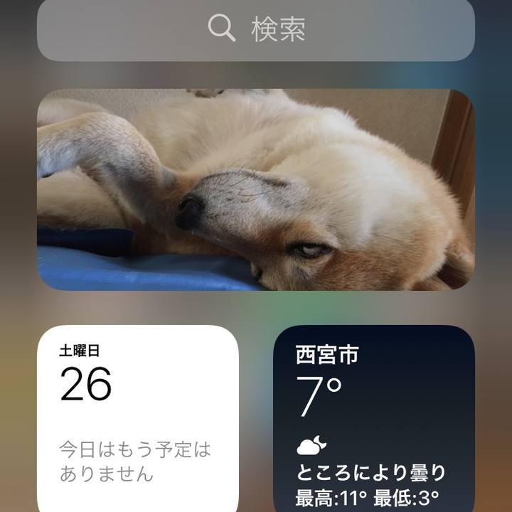 9f0bd05b 0c7f 465c 9cd0 a9062b3ce0f2 1609072019386