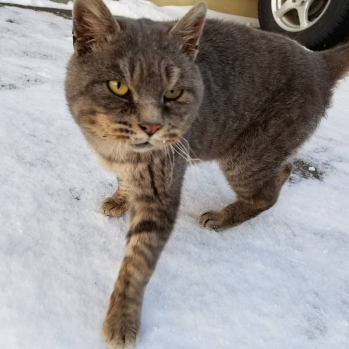 9f0c0119 992b 404c b92e 6c055f3ced5f 1552129799317