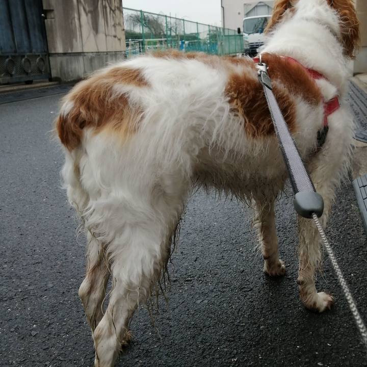 9f0c0bd7 519d 4c13 b372 64044f7080b2 1578397447576