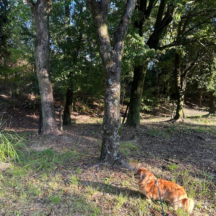 9f0c1406 9987 4e83 a94b 164a3cae7f59 1728773900620