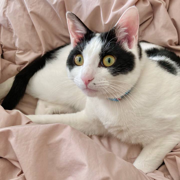 9f0c4894 3f33 40a2 949f 057418882caf 1647450012424