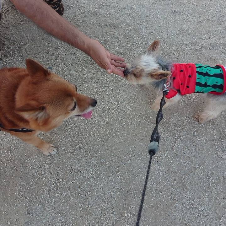 9f0c6d92 19ae 4f69 8350 0cee1d128fc4 1627729225989