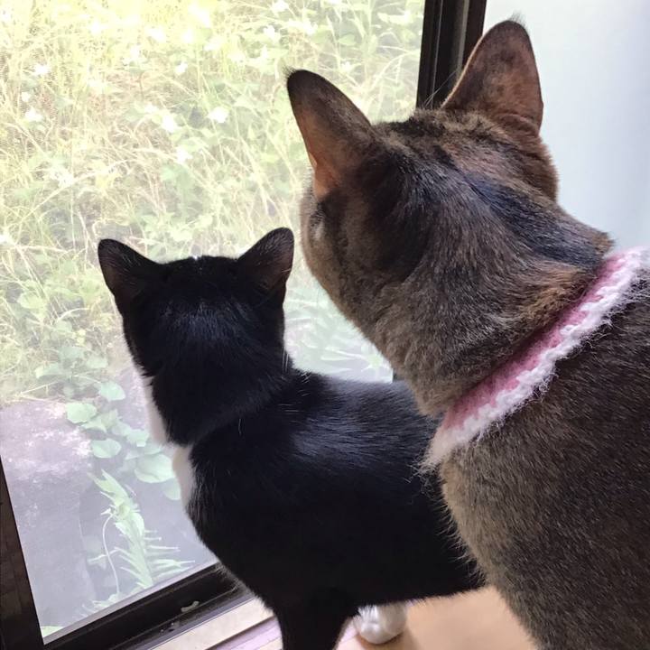 9f0c708a 2998 4d43 bc61 1dbdad280df7 1653780451408