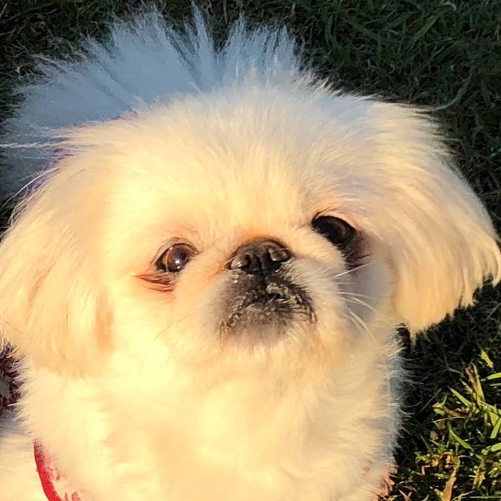 9f0c7a0a 32dc 4ef9 b80d 6d729e3a1e1d 1540160885047