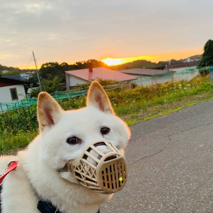 9f0c8753 e276 4629 bcc9 fcfbdbb0c965 1629145958470