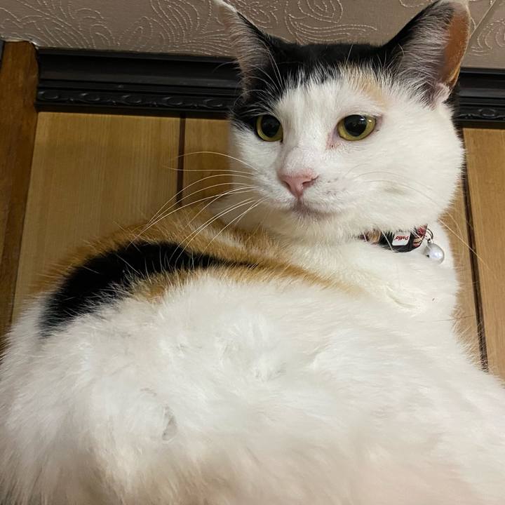 9f0c9772 0694 423a ab0f 43959c73848b 1654004620959