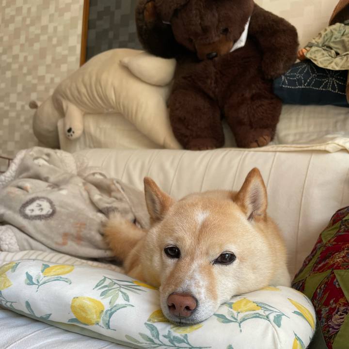 9f0ca019 0539 48c0 8656 985e24ff3b2a 1681003607894