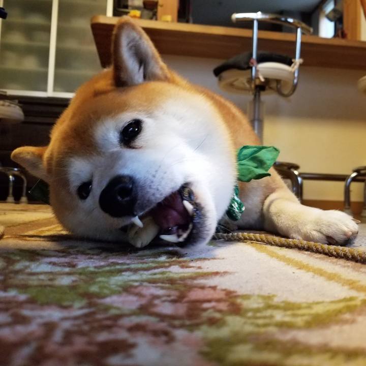 9f0cc223 6695 4b94 8834 c1d6474601da 1556265105381