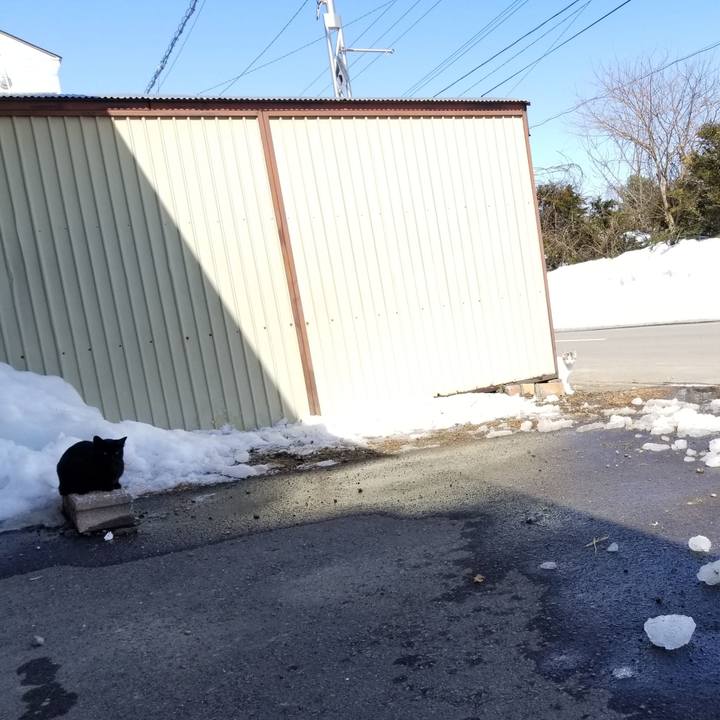 9f0cccd4 9345 4f2a 8c7b b5da203a2fc6 1584508075503