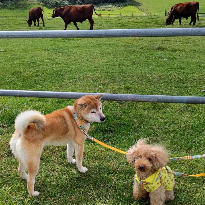 9f0cd596 3eda 49f4 9bbc 0fafb0d04de4 1632898774473