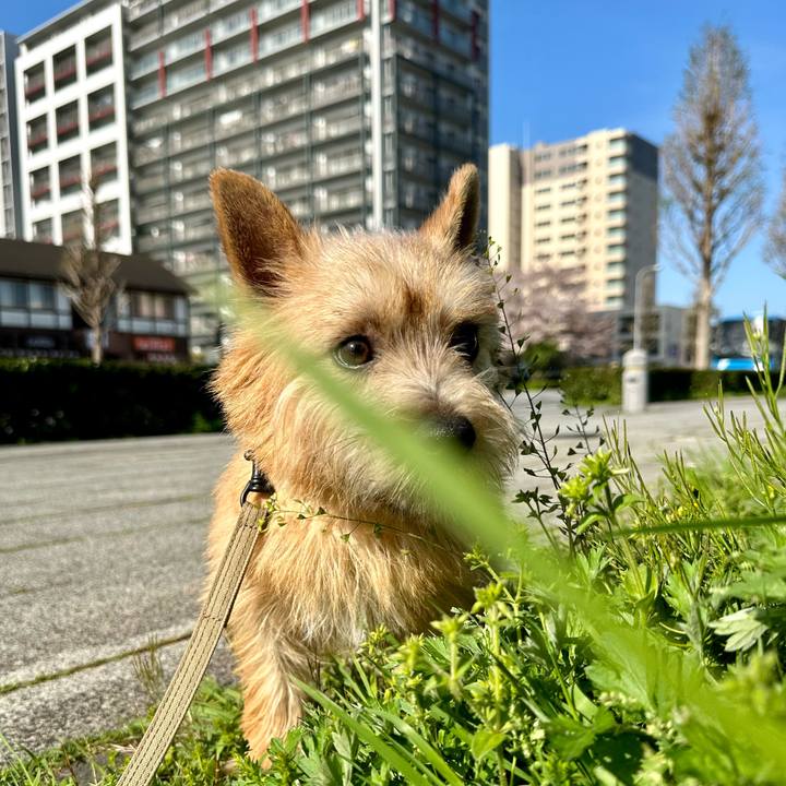 9f0cee2f 5b9f 4cd7 8732 8bc02bc0e60f 1713021497665