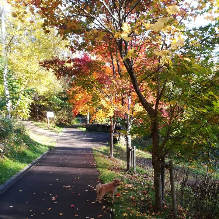 9f0cf112 e25e 4b13 8bcf 7d080ae5ec68 1539995439596