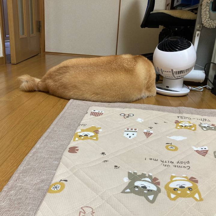 9f0d00f7 36cf 4427 8fb9 5a47a67edb21 1623734363699