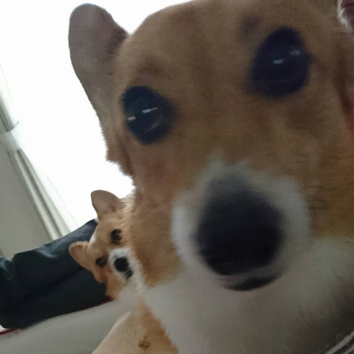 9f0d3ac2 6841 4b2f 9ce3 3d10e1b79d00 1520152444287