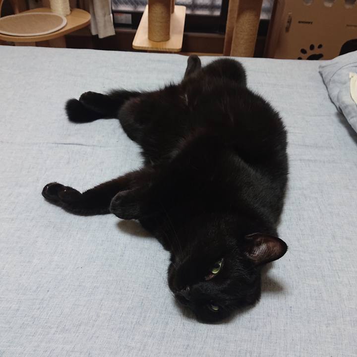 9f0d6bfd d3b4 4cb4 bb3d 1e460d58719c 1663805203537