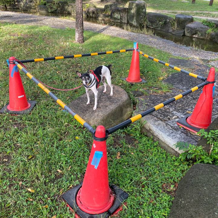 9f0daa77 b4c2 45ea a858 e8ac1b25fe01 1571469432186