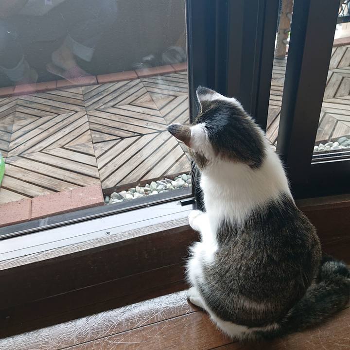 9f0dc511 629a 4707 abbf cc339e8e5e0f 1593318500960