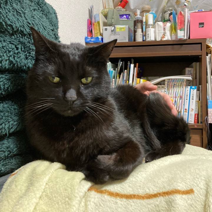 9f0dea7d 4b78 4397 9965 9dc917f08ce1 1773760679943