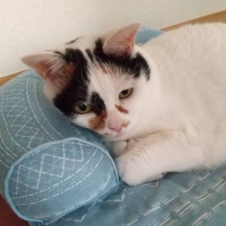 9f0e4bd4 7810 4d99 b032 a336e90d8f7d 1690191303467