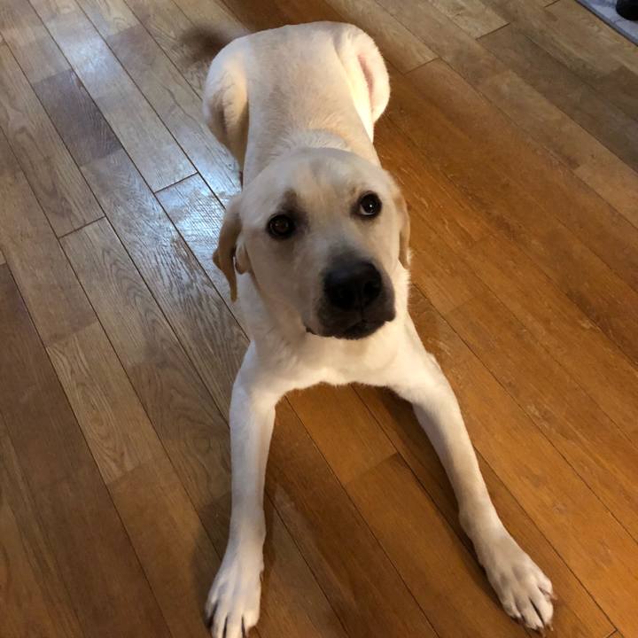 9f0e6291 c355 4562 a5dc f039be5ceb2b 1521705782669