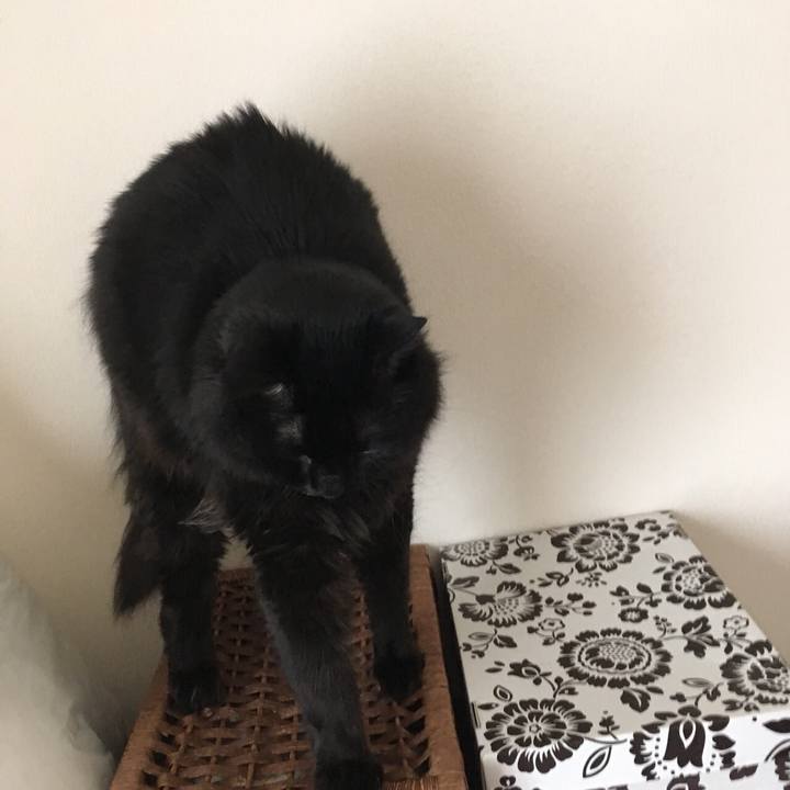 9f0ee1f7 2aaa 4ee1 9bb1 6783905e37d6 1529457782436