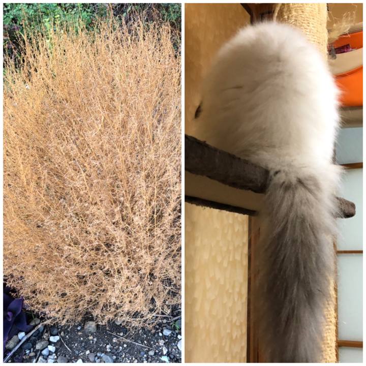 9f0ee636 de3a 41d4 8dea 5ef61fca8d75 1634716684489