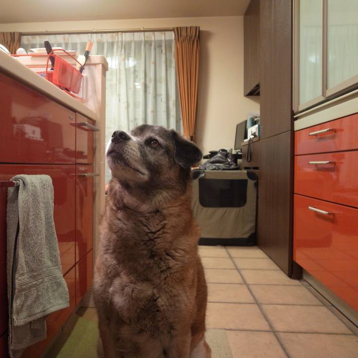 9f0eeb10 2d85 47c5 b97c a3d0336107d0 1608940013776