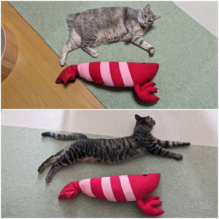 9f0f143f b432 4f58 9075 e7f823466f28 1717162179191